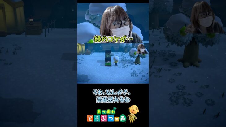 【あつ森】高級仕様？この魚だけ緑のコケ生えてるん？  #あつ森  #あつまれどうぶつの森  #shorts