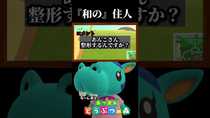 『和』の心を持つ住人？【あつまれ どうぶつの森】#shorts