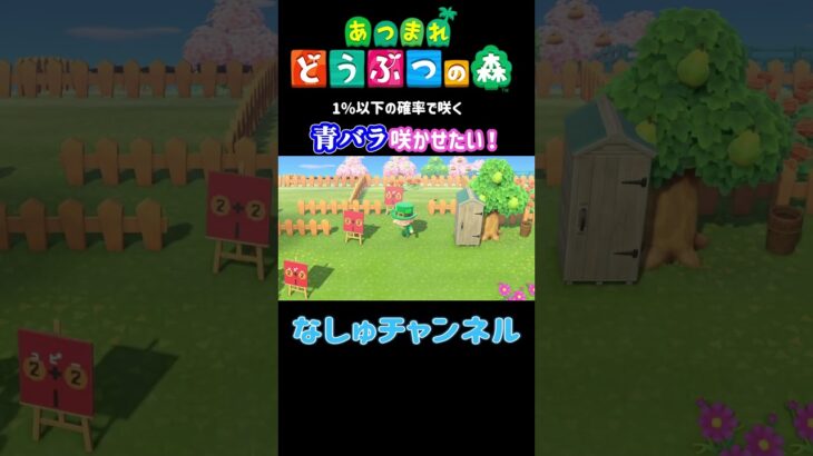 黒バラから青バラは咲くの？？【あつ森】#shorts