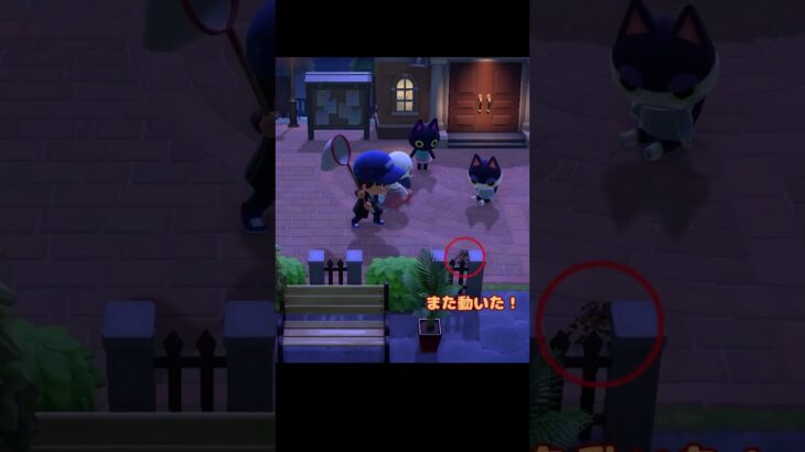 ゆずと島民の見つめる先には…【あつ森】#shorts