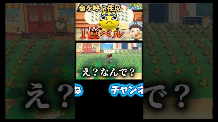 カブをする時にやってはいけない失敗をしてしまった。【あつ森】【あつまれどうぶつの森】 #あつまれどうぶつの森 #あつ森 #どうぶつの森 #ゲーム実況 #ゲーム #shorts