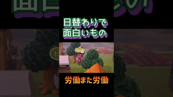 永遠にはたらく理由はこれだ #ゲーム実況 #あつ森 #まめきち #あつまれどうぶつの森 #shorts