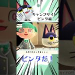 【あつ森】キャンプサイトにビンタがきたので勧誘し続ける　#shorts  #Vtuber #あつ森 #あつまれどうぶつの森 #ビンタ