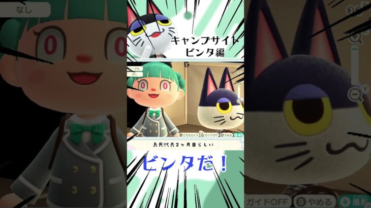 【あつ森】キャンプサイトにビンタがきたので勧誘し続ける　#shorts  #Vtuber #あつ森 #あつまれどうぶつの森 #ビンタ