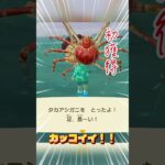【あつ森】大物の気配！#shorts #あつまれどうぶつの森 #あつ森 #acnh #animalcrossing #animalcrossingnewhorizons
