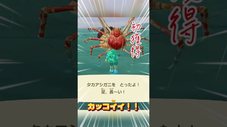 【あつ森】大物の気配！#shorts #あつまれどうぶつの森 #あつ森 #acnh #animalcrossing #animalcrossingnewhorizons