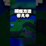 【あつ森】タランチュラって消えるの！？😲#shorts #あつまれどうぶつの森 #あつ森 #acnh #animalcrossing #animalcrossingnewhorizons