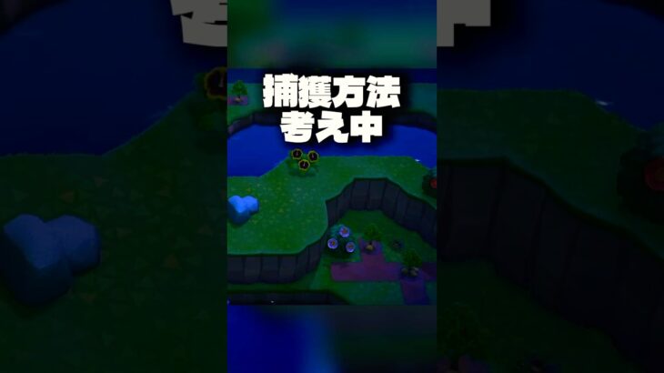 【あつ森】タランチュラって消えるの！？😲#shorts #あつまれどうぶつの森 #あつ森 #acnh #animalcrossing #animalcrossingnewhorizons