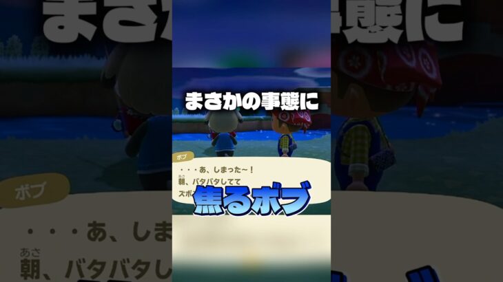 【あつ森】まさかの事態に焦るボブ💦#shorts #あつまれどうぶつの森 #あつ森 #acnh #animalcrossing #animalcrossingnewhorizons