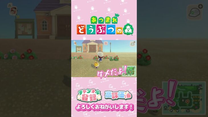 【あつ森】過保護　ハムスケ　#shorts   #animalcrossing