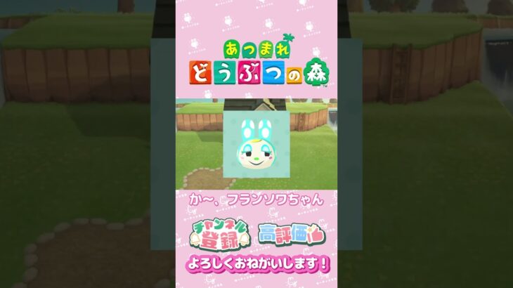 【あつ森】マーサちゃんＨＢＤ　#shorts   #animalcrossing