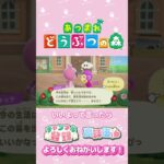 【あつ森】ちっちの旅立ち　#shorts   #animalcrossing