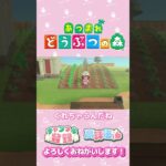 【あつ森】仲良しの基準　クリスチーヌちゃん　#shorts   #animalcrossing