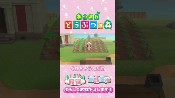 【あつ森】仲良しの基準　クリスチーヌちゃん　#shorts   #animalcrossing