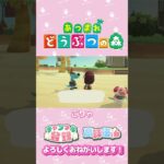 【あつ森】ちゃちゃまる君？ちゃん？　#shorts   #animalcrossing