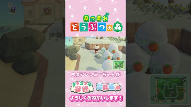 【あつ森】推しは絶対　ルナちゃんとアンソニー　#shorts   #animalcrossing