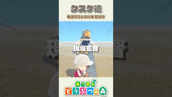 現場の様子がどうしても気になるクスケチャさん 【あつ森】 #shorts #あつ森 #あつまれどうぶつの森 #animalcrossing #acnh