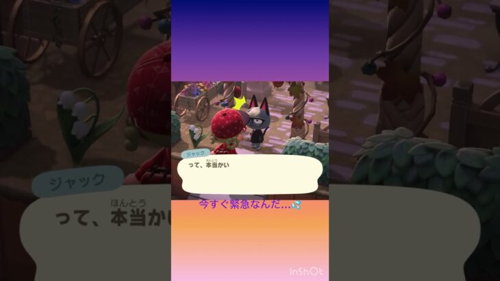 トイレの分身になった島主😅💦 #あつ森 #あつまれどうぶつの森 #shorts #animalcrossing #gaming #ゲーム #raymond
