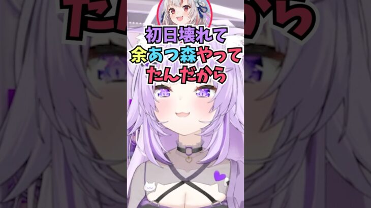 猫又塾で闇落ちしてあつ森とテニスを往復していたお嬢を思い出して懐かしむおかゆん #shorts #大空スバル #ホロライブ #切り抜き #vtuber #ホロ切り抜き #猫又おかゆ #百鬼あやめ