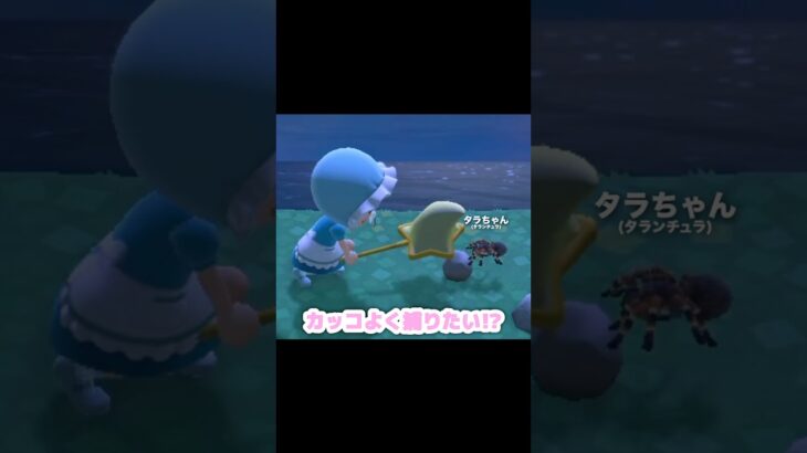 かっぺいツアーでタラちゃんに遭遇…？！？！#あつ森 #どうぶつの森 #あつまれどうぶつの森 #どう森 #shortvideo #short #shorts #あつ森タランチュラ#タラちゃん