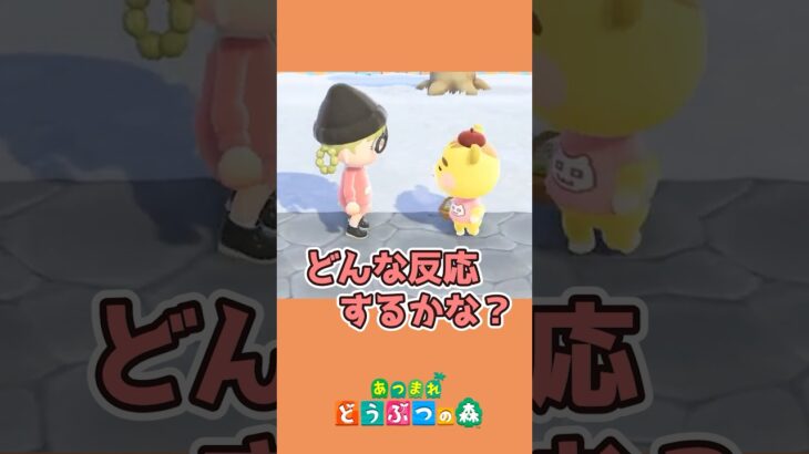 【あつ森】住民さんにもらったプレゼントを返品したらどうなる？#あつ森 #あつまれどうぶつの森 #shortvideo #shorts
