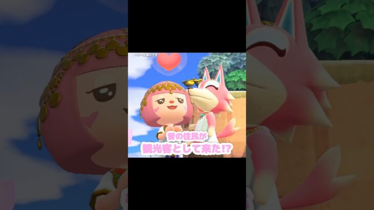 ｢感動の再会と感動の会話｣ホテルありがとう…？！？！#あつ森 #どうぶつの森 #あつまれどうぶつの森 #どう森 #shortvideo #shorts #short #あつ森ホテル #ツンドラちゃん