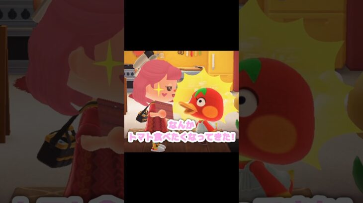 美味しそうなプチトマトが目の前に…？！？！#あつ森 #どうぶつの森 #あつまれどうぶつの森 #どう森 #shortvideo #shorts #short #ケチャップちゃん#ハピパラ