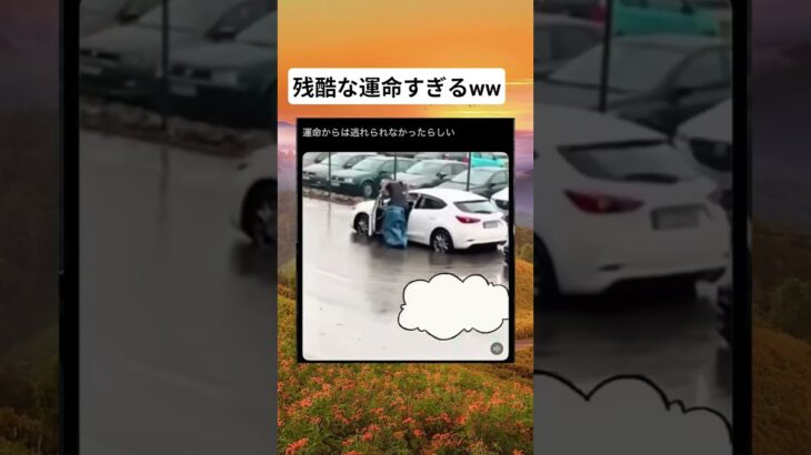 #speedsong #cover #nightcore #remix #music #ディズニー #あつ森 #すごい #歌ってみた #美容