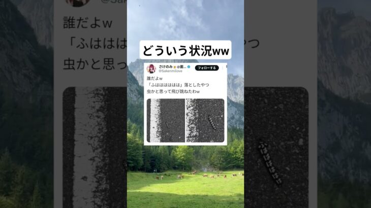 #speedsong #nightcore #remix #music #ディズニー #cover #あつ森 #すごい #歌ってみた #automobile