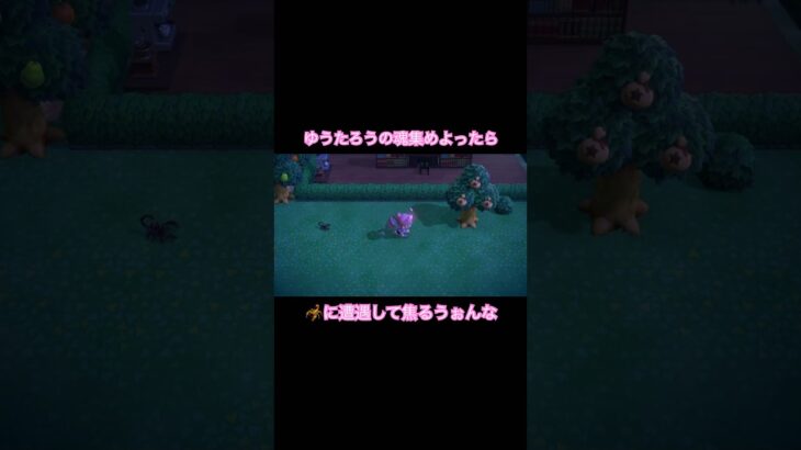 【 #あつまれどうぶつの森 #あつ森 #間一髪 #switch 】無事🦂げっㄘゅ