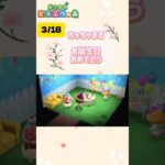 【ちゃちゃまる】誕生日おめでとう🎉#あつ森 #あつまれどうぶつの森 #switch