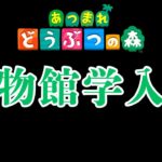 【あちゅもり】博物館からお送りします🦉【あつまれどうぶつの森/switch】