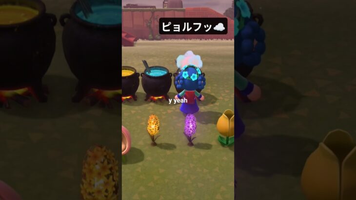 ポフッ☁　#switch #animalcrossing #あつ森 #あつまれどうぶつの森 #gaming #ゲーム　#switch 2 #あつまれどうぶつの森　#日常　#animal　#daily