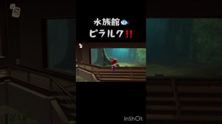 ピラルク‼️ #switch2 #あつまれどうぶつの森 #あつ森 #ゲーム