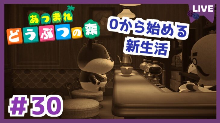 【あつ森】switch2でやるぞ！新生活！ あつまれどうぶつの森 | Animal Crossing: New Horizons