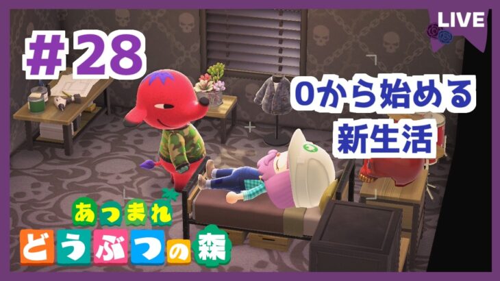 【あつ森】switch2でやるぞ！新生活！ あつまれどうぶつの森 | Animal Crossing: New Horizons