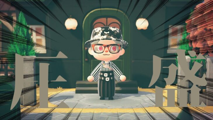 【雑談】念願のswitch２を手に入れたのであつ森すっぞ【switch2】