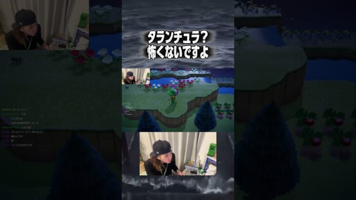 雪溶けて嬉しいです#あつ森 #twitch配信 #ゲーム配信