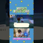 ユキミ、ずっと一緒にいよう#あつ森 #どうぶつの森 #twitch配信