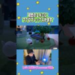 ゆきみ…かまってよ#あつ森 #どうぶつの森 #twitch配信