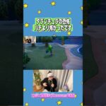 次はお前か#あつ森 #あつまれどうぶつの森 #twitch配信