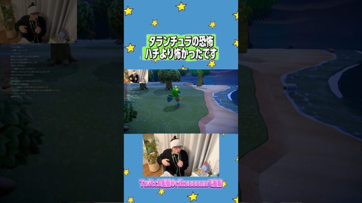 次はお前か#あつ森 #あつまれどうぶつの森 #twitch配信