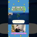 俺海女の男なるわ#あつ森 #あつまれどうぶつの森 #twitch配信