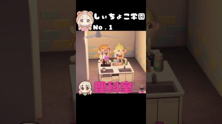 【あつ森】夢見の島で仲間のアイデアが凄すぎ～しぃちょこ学園を作りました。 #あつ森 #あつまれどうぶつの森 #あつ森島クリ