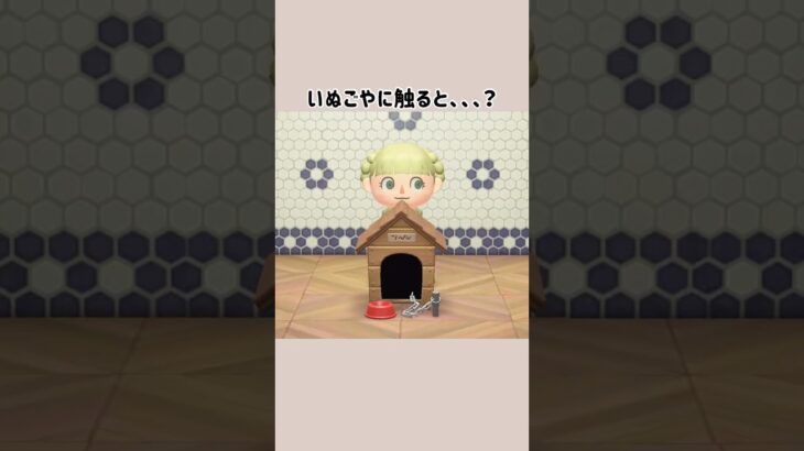 【あつ森】いぬごやに触ると…？