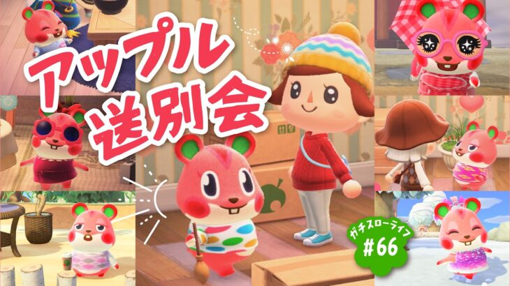 【あつ森】ありがとうアップルちゃん！！🍎🌸【よりどり島】