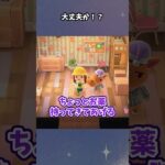 【悲報】うちの島に合わなかった住民さん… #あつ森  #あつまれどうぶつの森  #女性ゲーム実況