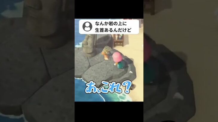 岩の上に生首があった？下半身は？ｗ あつ森 失敗 #あつ森 #ききゆん 【嬉々桜ゆん】