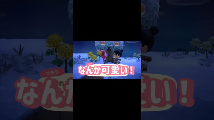 【あつ森】住民厳選やってみた！　#あつ森 #住民厳選