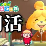 【あつ森/朝活】ハピパラ進めつつ話したり